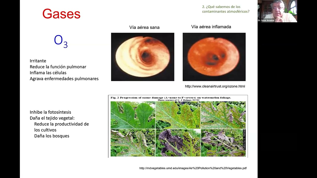 ESPECIACIÓN QUÍMICA DE CONTAMINANTES ORGÁNICOS