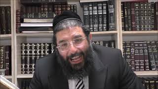 לא תכלה פאת שדך - שיחה לפרשת אמור