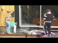 Big Brothers Biggest Fights. - YouTube