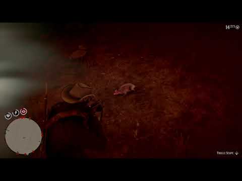Red Dead Redemption 2_ Master Hunter 9 challenge Location (2 opossums spawn)