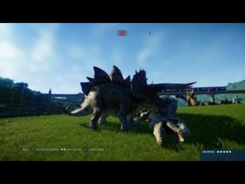 Jurassic World: Evolution: Female Stegoceratops Vs. Indy The Indominus Rex.