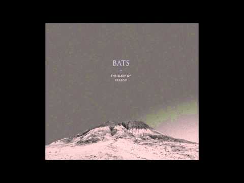 BATS - The Fall Of Bees