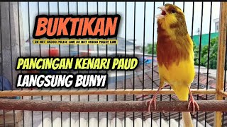 Download lagu Pancingan Kenari Paud Agar Bunyi || Cocok Untuk Masteran Kenari Paud Belajar Bunyi mp3