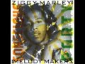 Ziggy Marley - New Love