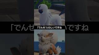 【チャンピオンズ】「でんせつ」と噂されるポケモンたちです【ポケチャン】 #ポケモン #ポケモンチャンピオンズ #チャンピオンズ #pokemon #shorts
