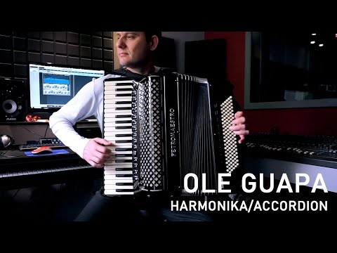 Vlada Veselinović: OLE GUAPA - A. Malando [harmonika/accordion/instrumental]