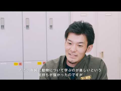 麻布大学 動物応用科学科 卒業生 多摩動物公園勤務