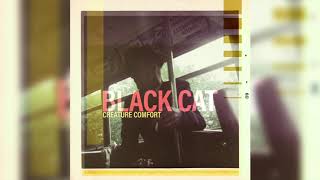 Black Cat Music Video