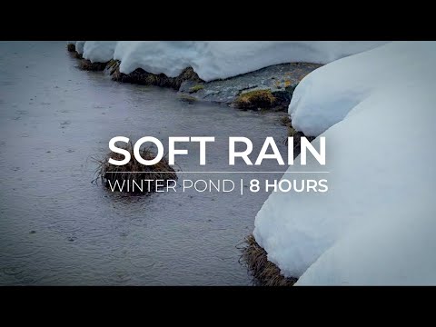 Winter Pond Serenity, 8 Hours Rain