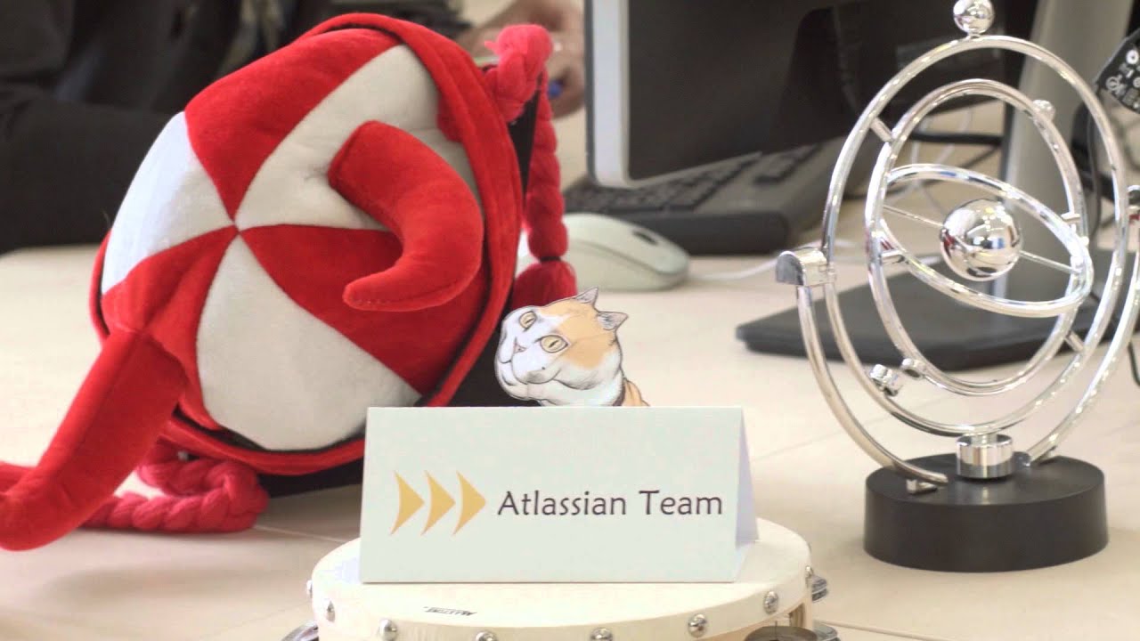 Software Development Company Rozdoum - Promo Video