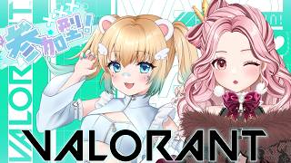 【#valorant 】珍しくアンレ参加型だぞー🐻‍❄🐰【#vtuber 】