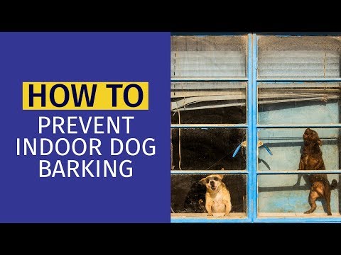 How to Prevent Your Dog From Barking Indoors | Animal Behavior College