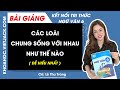 Các loài chung sống với nhau như thế nào? (2)