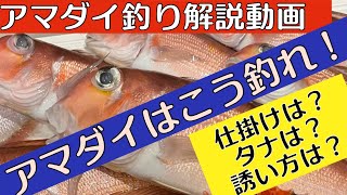 アマダイ船釣り 天秤仕掛けで大物狙い