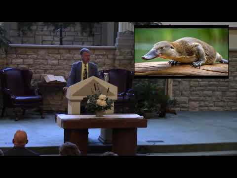 Heros of Faith - Pastor Syrek