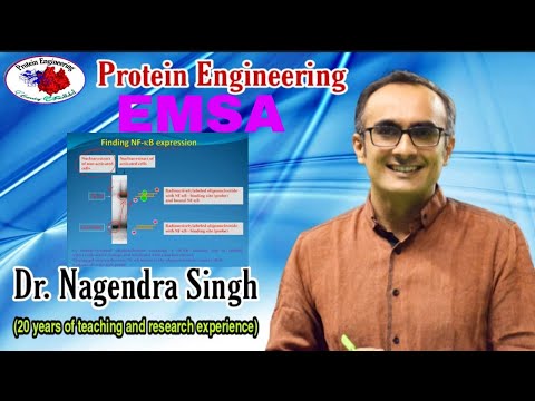 Electrophoretic Mobility Shift Assay | EMSA | Gel Retardation Assay | Gel Shift Assay | PENS#91