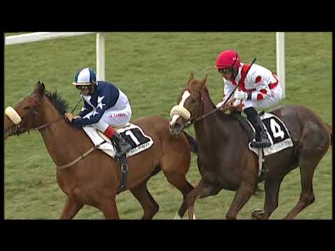 2018-03-04 Corsa 2 metri 1600 Premio Andreina