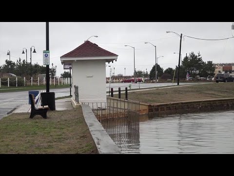 Deal Lake Contamination