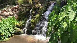 Водная Стихия