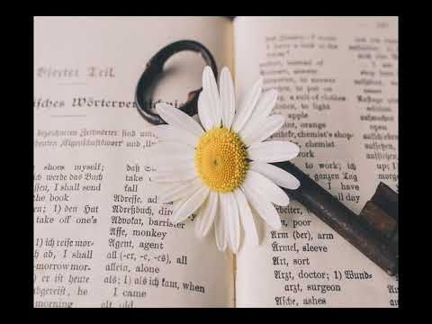 JP Morgan prevé que la recategorización de Argentina a mercado emergente podría atraer US$ 2.300 millones