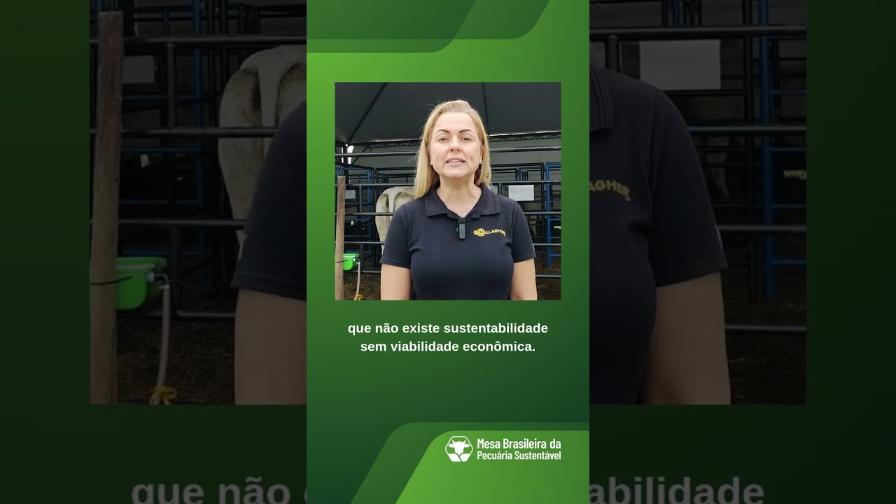 Não existe sustentabilidade sem viabilidade econômica