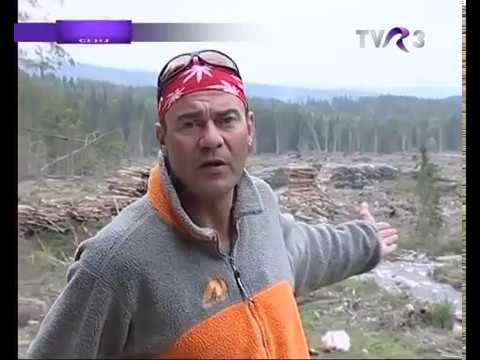 Natură şi aventură - În Munții Apuseni, la Padiş