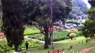 Download lagu Kinanthi Sandhung - Nonik Aprillia mp3 Download lagu Kinanthi Sandhung - Nonik Aprillia mp3