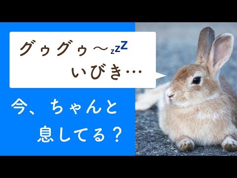 ウサギのくしゃみの原因と治療法