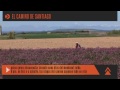 El Camino de Santiago
