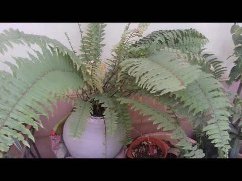 Friends Are The Flowers In The Garden 💐🍬114