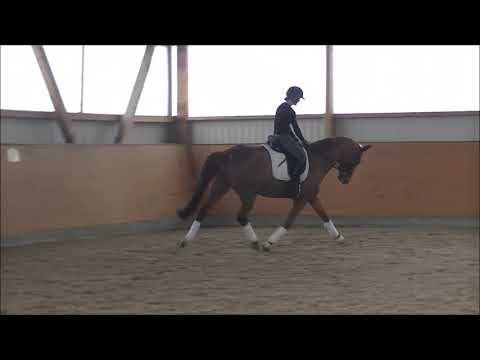 Livaldon Wolkenstein komplett