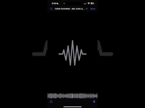 BIG JUNE X SME TaxFree - FEINS RUNNING