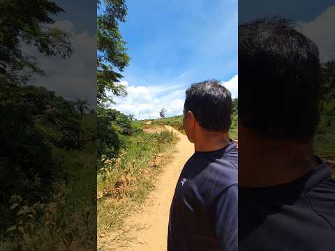 PAREI NA ESTRADA , PARA CHUPAR MANGA , MUNICÍPIO DE RIO VERMELHO MG