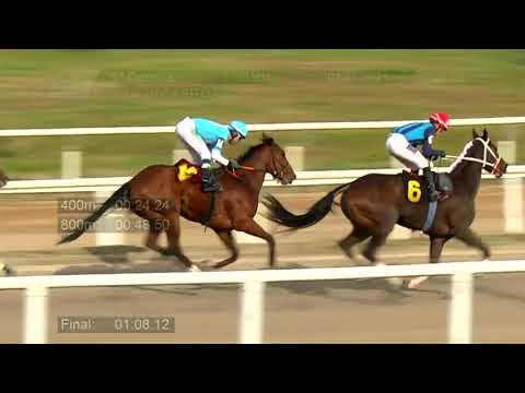 210702 c06 - ROMINA SILVER - HIPODROMO LAS PIEDRAS