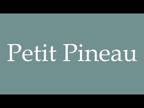 How to Pronounce ''Petit Pineau'' (Little Pineau) Correctly in French