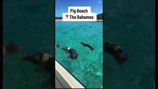 5 Famous Caribbean Beaches You Should Visit! 🌴 #caribbean #beaches #beach #beachlife #beachvibes