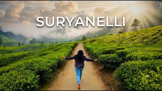 MUNNAR, SURYANELLI & KOLUKKUMALAI 🌿 | Exploring Kerala’s Misty Tea Hills & Hidde