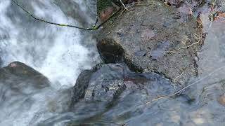 EDGE OF THE WORLD cover  ( Nell Brydon )