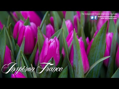 Moonbeam ft Matvey Emerson - Wanderer (Radio Edit) HD