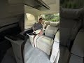Executive Rear Seating with Fold-flat function in the Lexus LM Luxury MPV 👌 #shorts