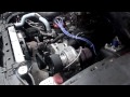 Wolf Pack Racing Mustang