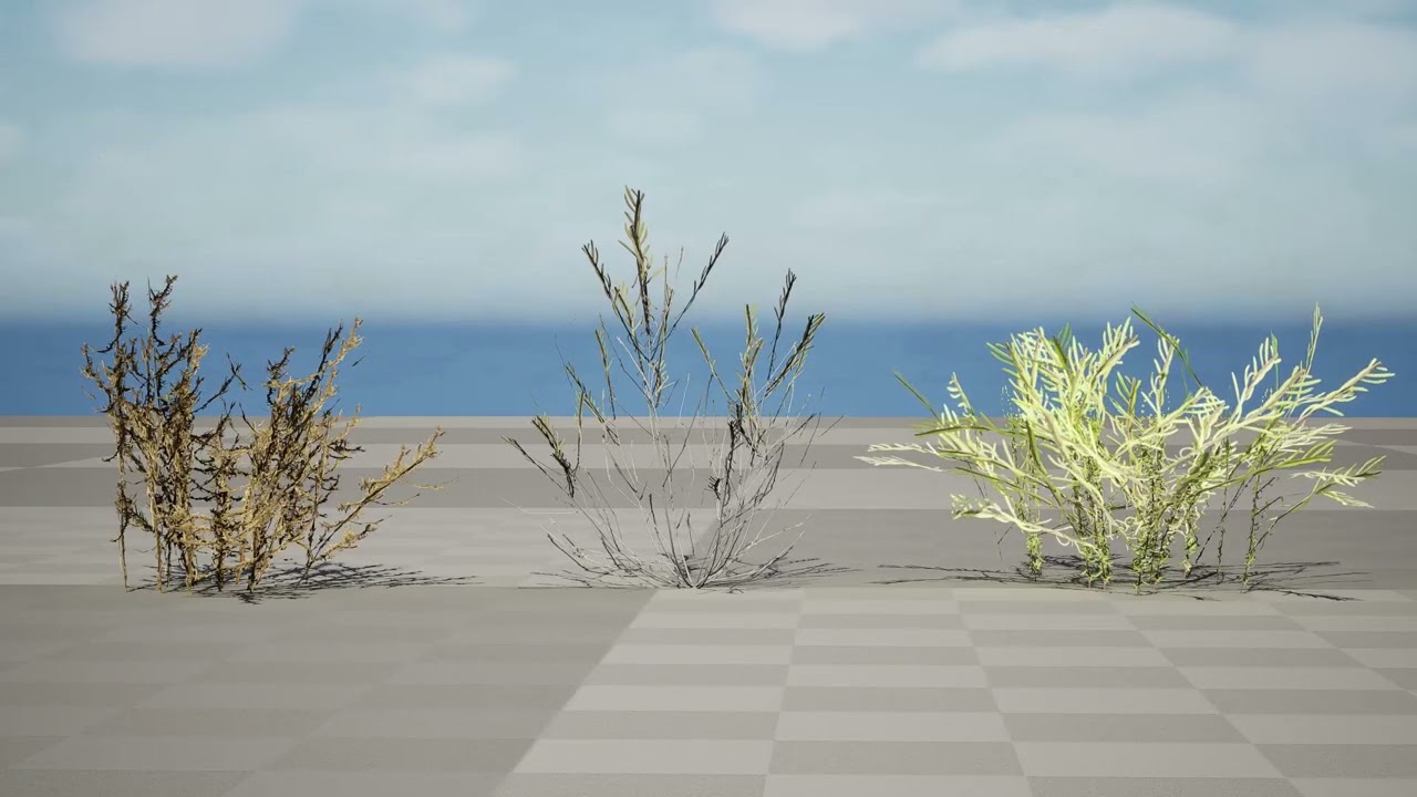 Arabian Cornulaca Collection 3D Model