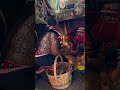 Umfazi OnMasende Gogomaweni Amadlozi Ancestors Beads Camagu Cleansing Cowrieshells Blessed