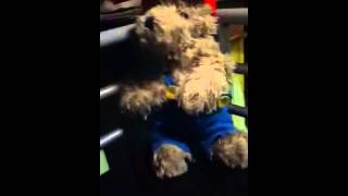 Ik lijk op de money en de faam