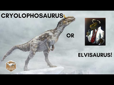 CRYOLOPHOSAURUS or ELVISAURUS DINOSAURS!