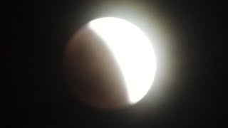 Total Lunar Eclipse Watch Party from Miami (May 15, 2022 - May 16, 2022)