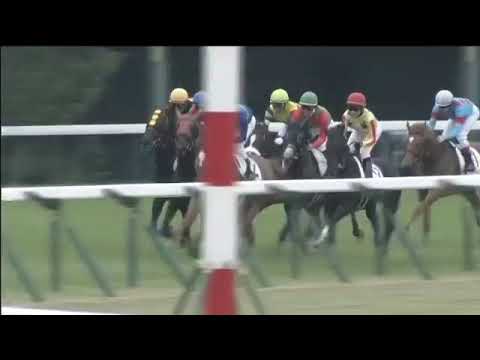 2019.06.02 2yo Newcomer (JPN) - Mauvette