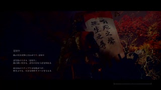 SEKIROを攻める