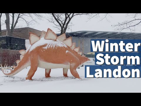 Exploring Cleveland during Winter Storm Landon
