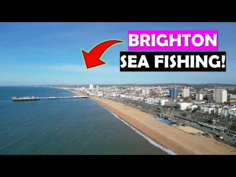 Brighton Beach - UK Sea Fishing!